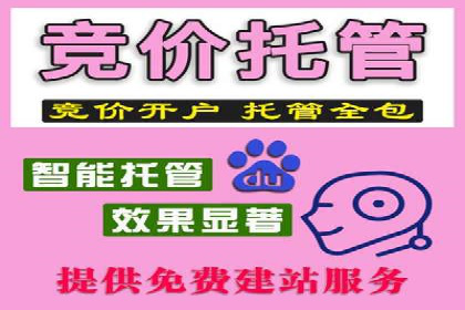 百度推广中SEO优化的成功案例分析